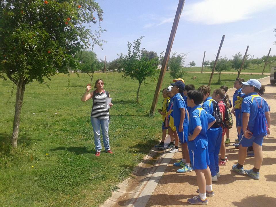 Colegio Séneca - Vivir los parques.